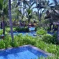 low-maintenance plants for pool