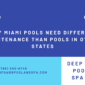 why-miami-pools-need-different-maintenance