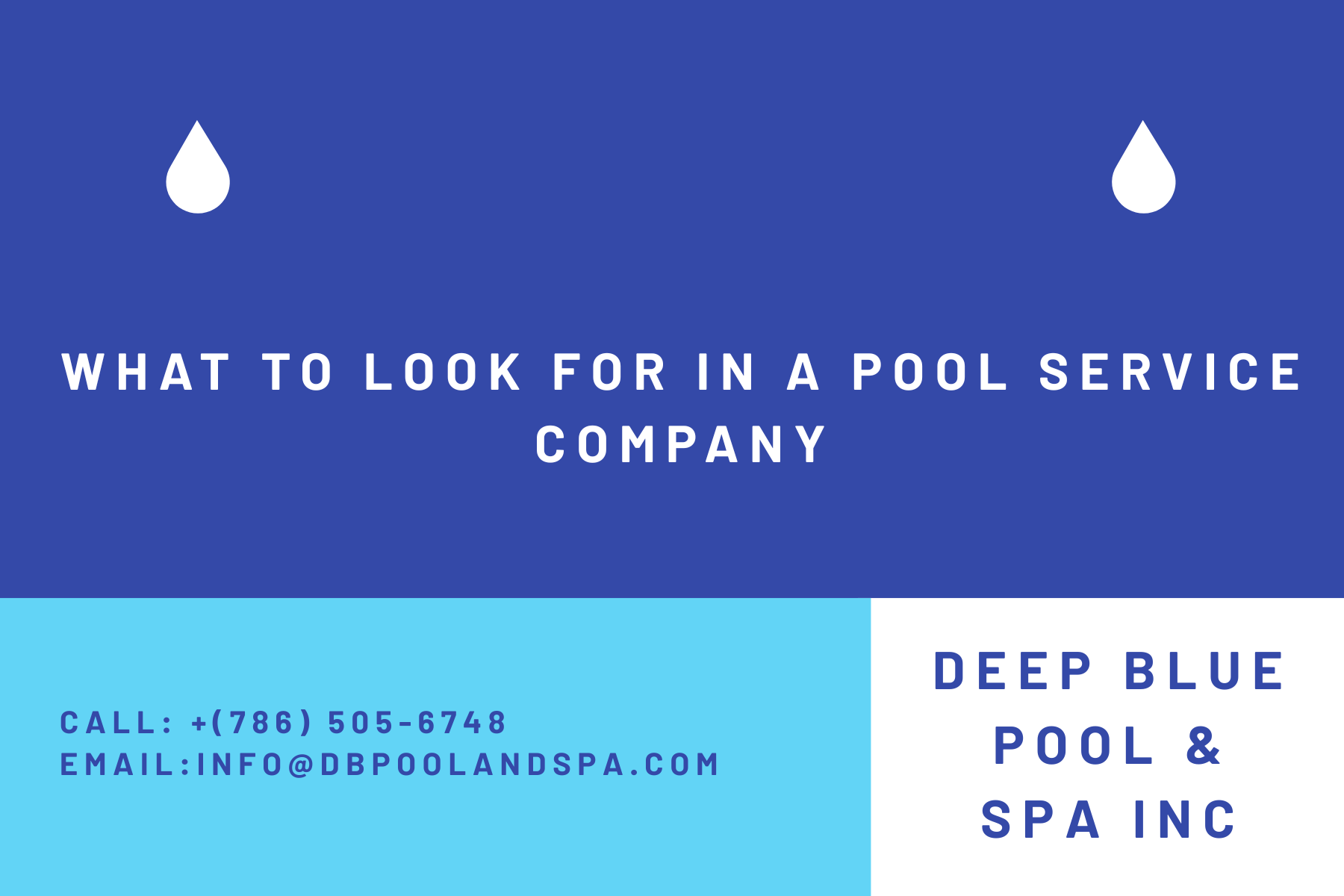 what to look for in a pool service company